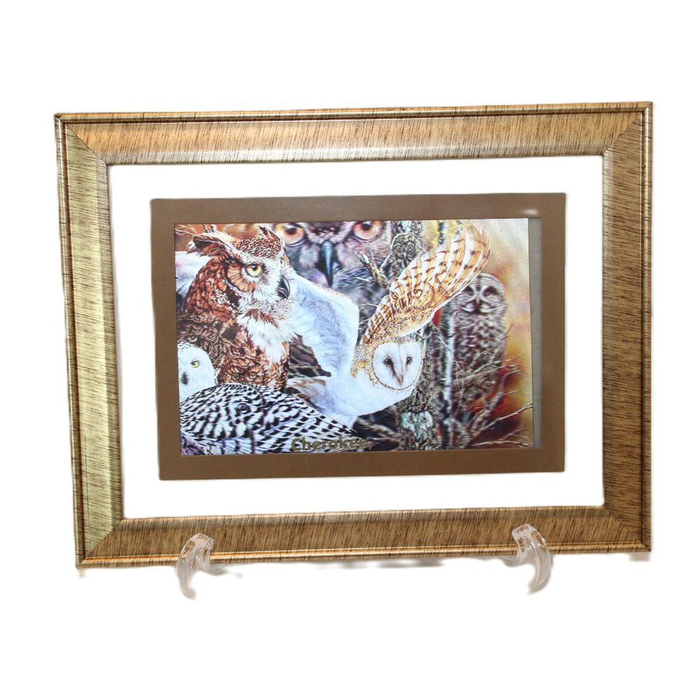 3D Owl Picture 9"X 7" Plastic Frame